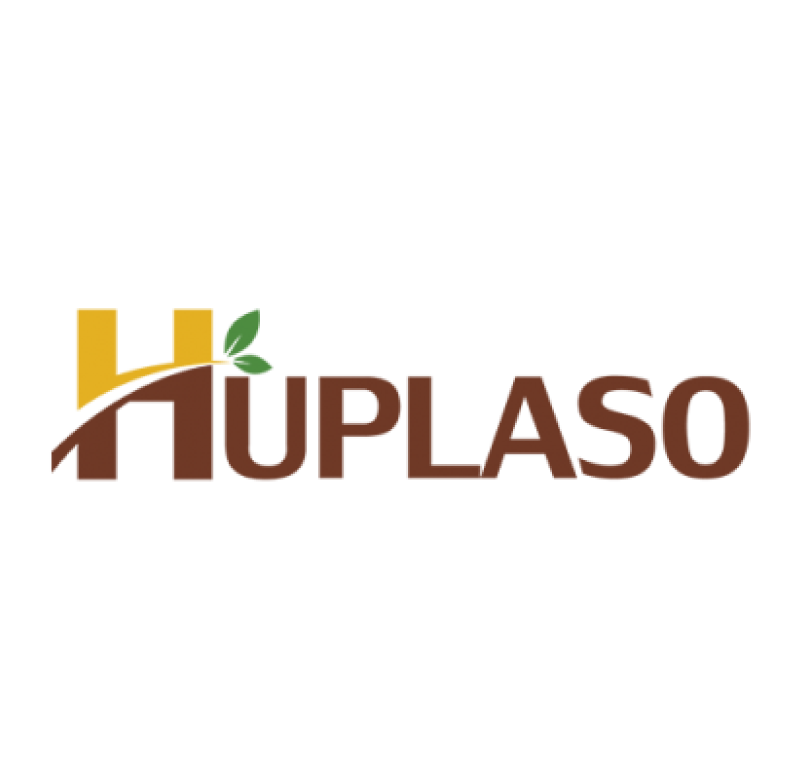Huplaso Logo