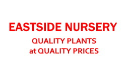 Eastside Nursery